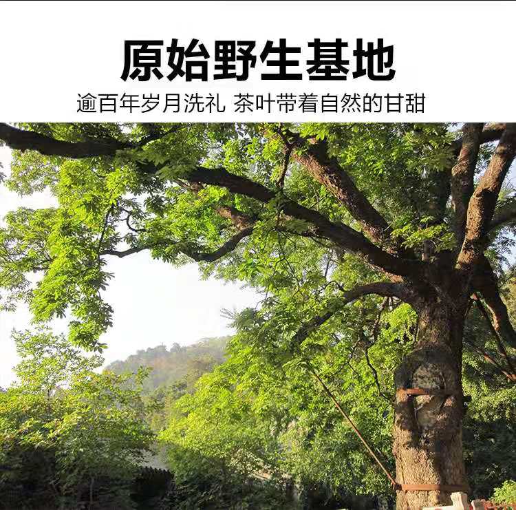 微信圖片_20191120131137.jpg