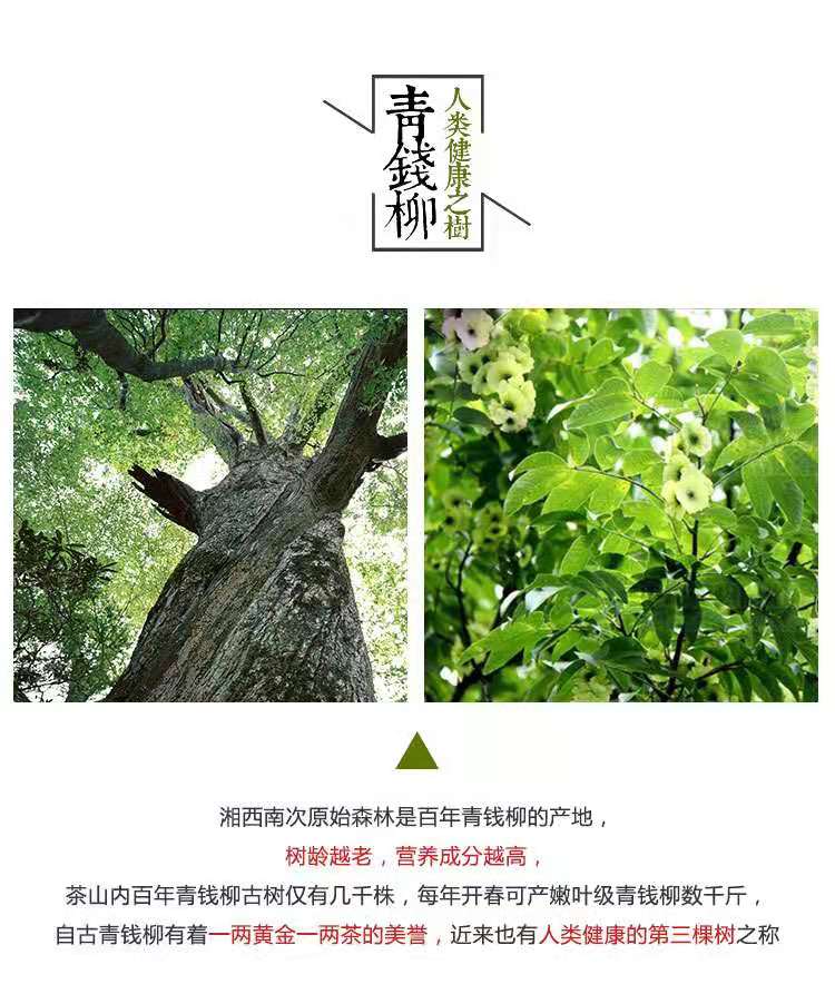 微信圖片_20191120131147.jpg